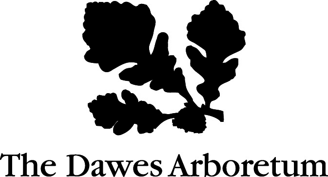 Dawes logo - no tag line green