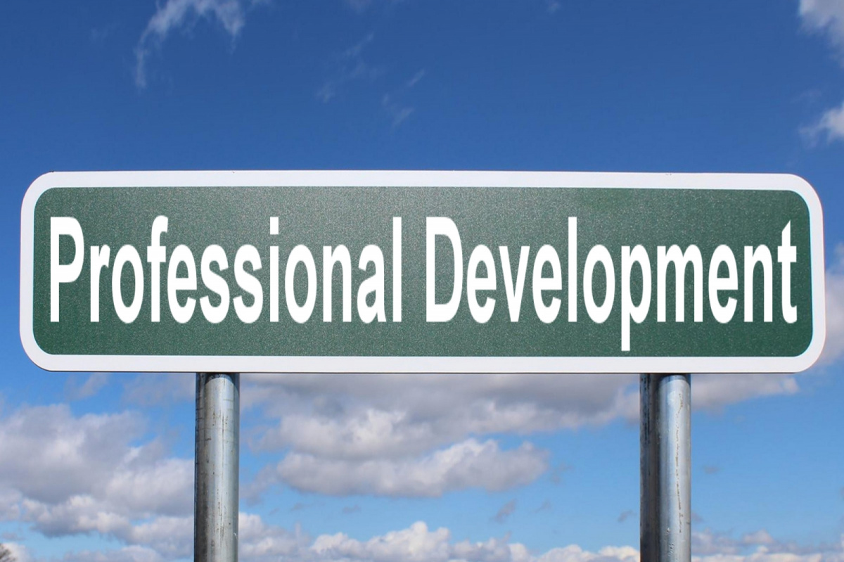 professional-development professional-development